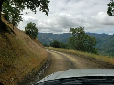 20190520_105629 (Large).jpg